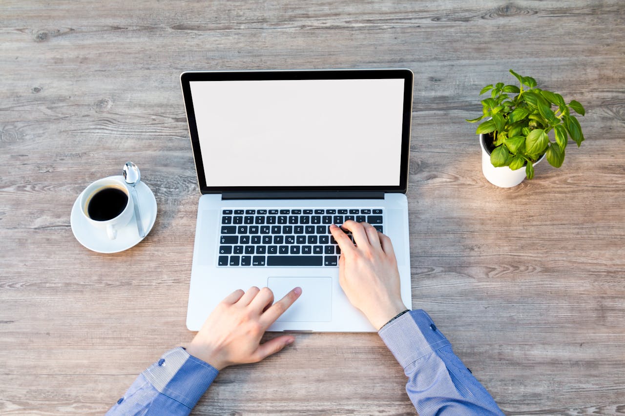 Création site internet Sélestat : Votre projet web avec l'agence Mirtillo